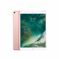 iPad Pro 10,5in(2017)-Wifi 4G- 99%